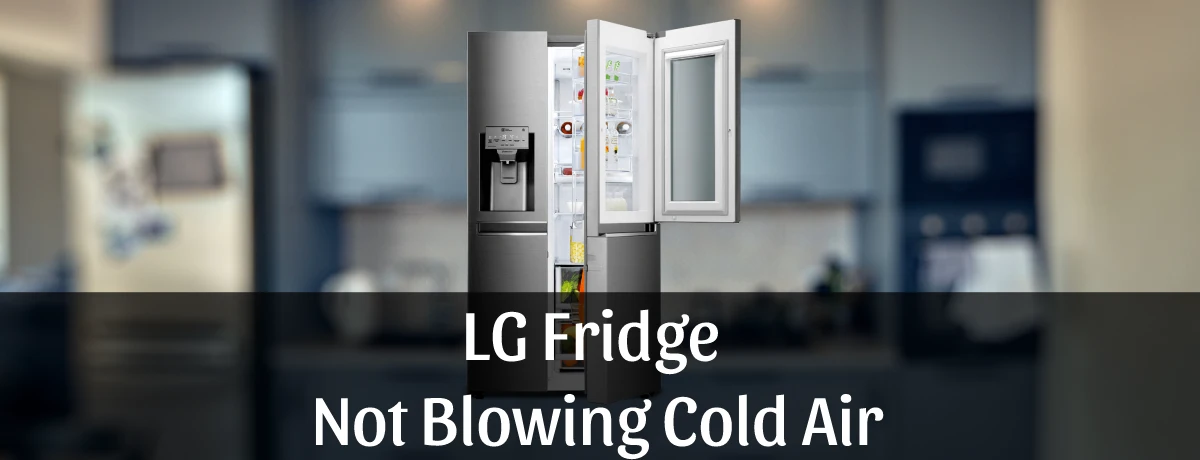 Why is my LG Fridge Not Blowing Cold Air
