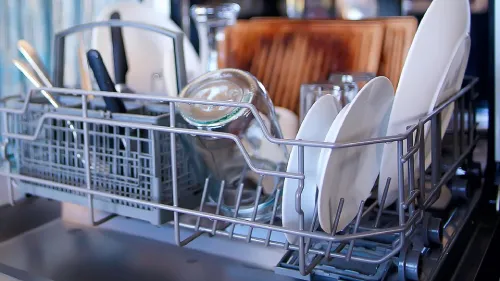 Dishwasher Design Flaws